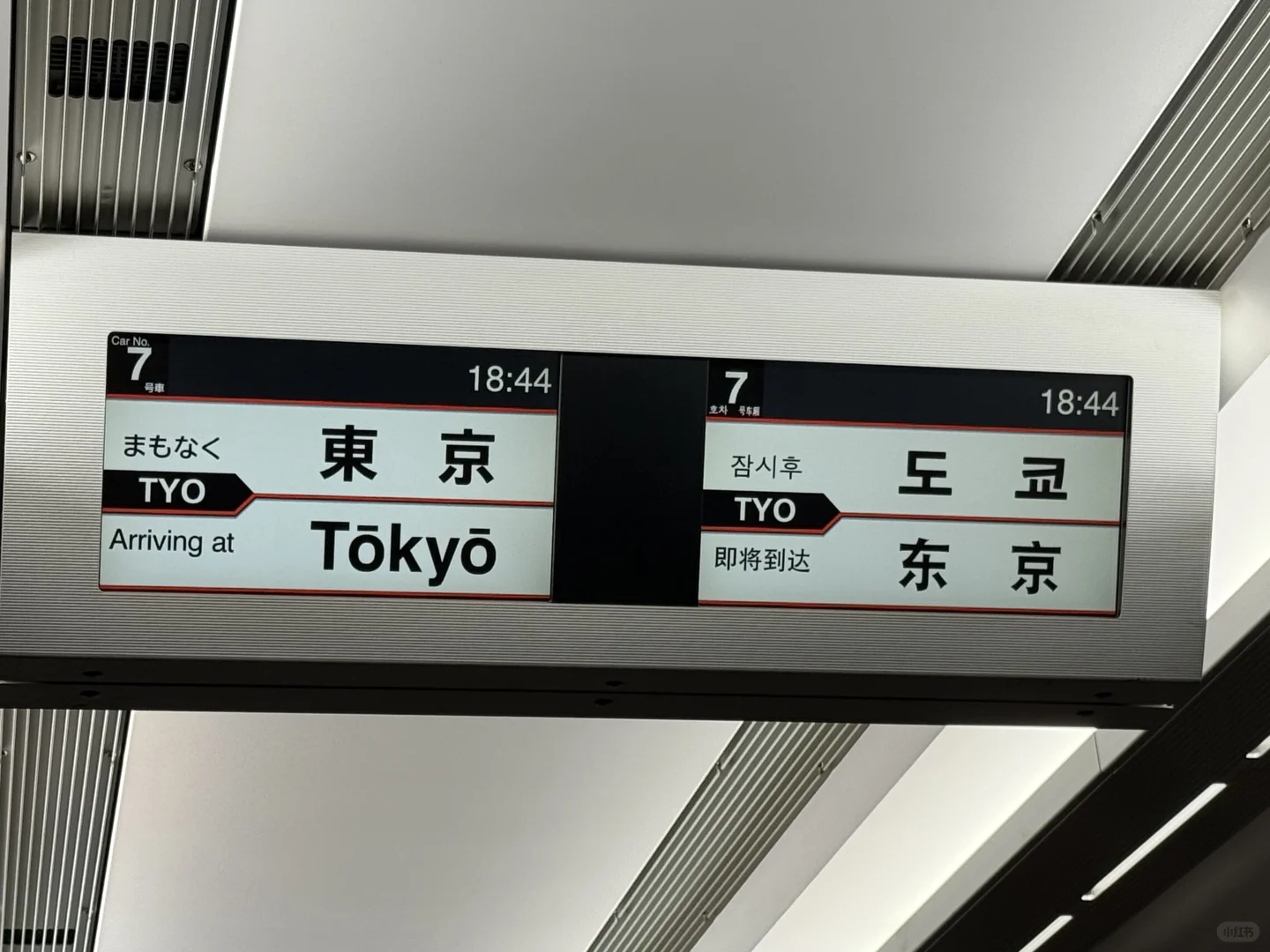Highly recommend staying in the Ginza, Tokyo Station, or Kyobashi area—they're all conveniently within walking distance of each other.