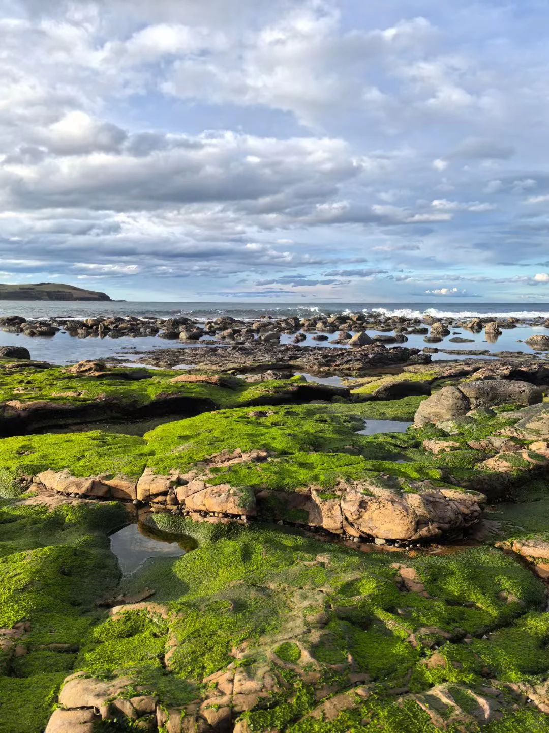 Embark on the 6-kilometer Bondi to Coogee coastal walk, a thrilling hike with stunning ocean views and beautiful beaches.