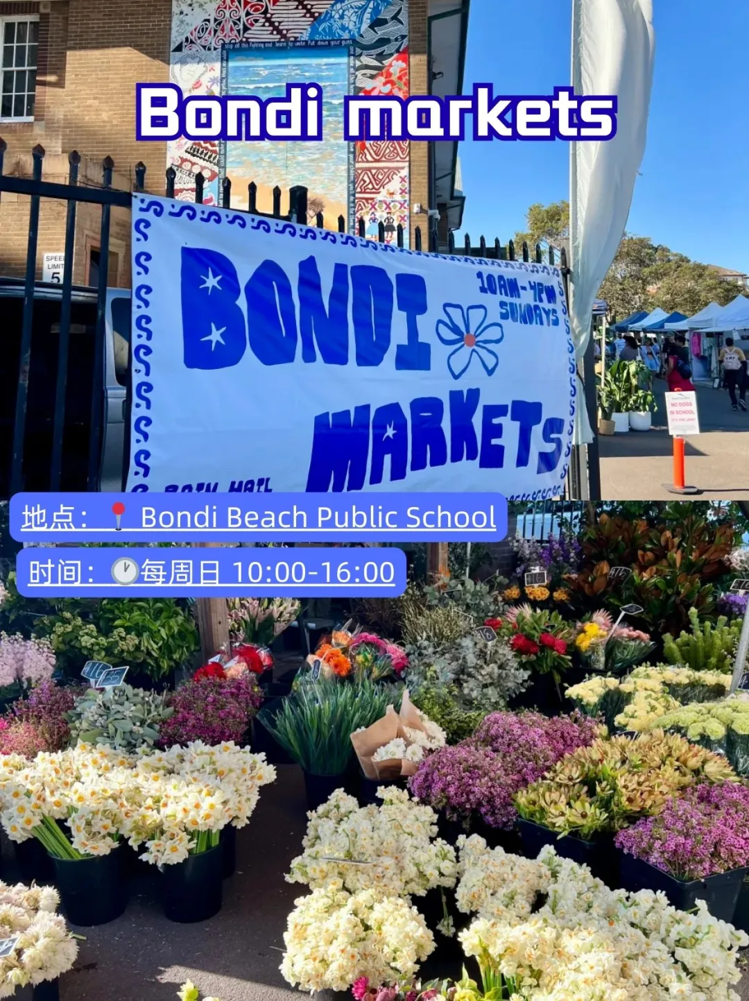 Discover Bondi Markets, where shopping meets the sun and sea, perfect for capping off your coastal day!
