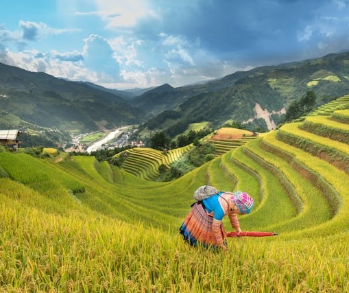 Travel destination 14